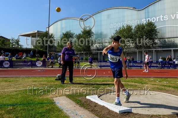 Age25SUN-928642 - Field Male