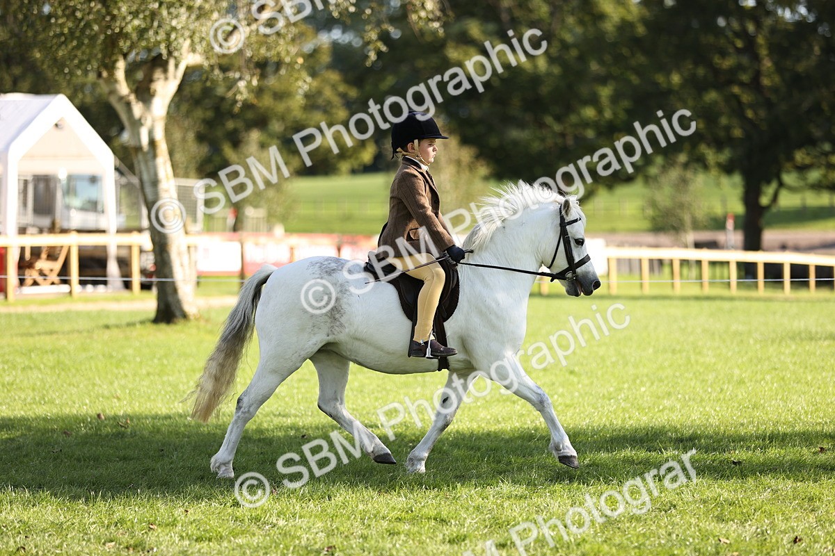 SBM_29321 - S7 - Novice & Newcomers Ridden Pony