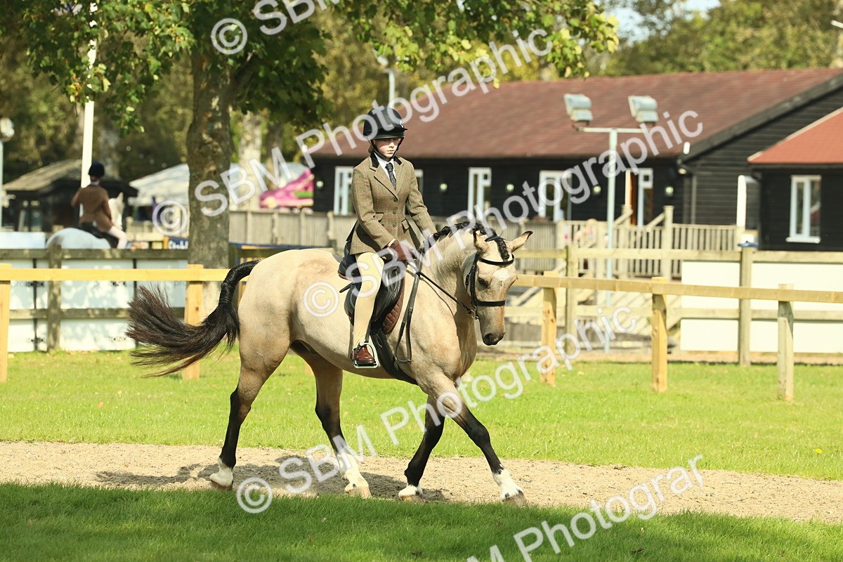 SBM_67619 - S56 - Coloured Pony Ridden