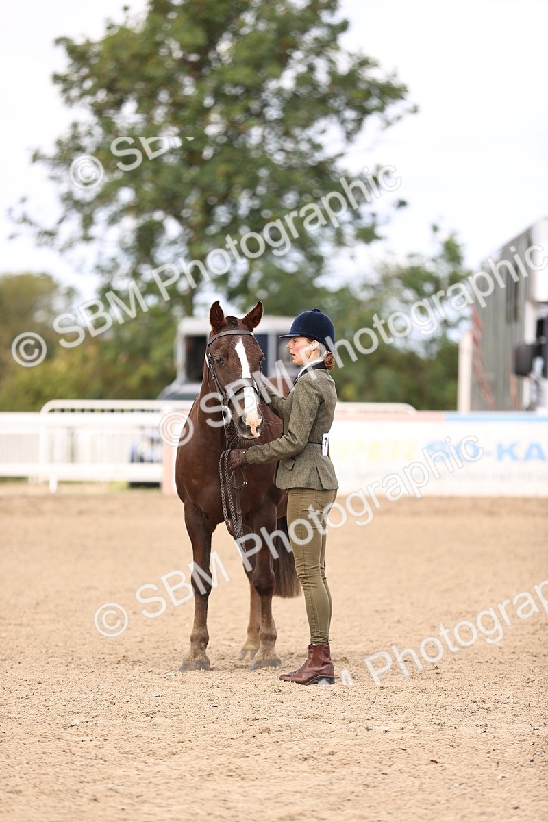 SBM_10391 - Class 405 - IH Show Cob