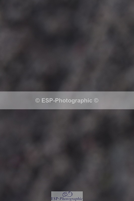 231104A-121727-00416 - Cls 7 Elementary 43