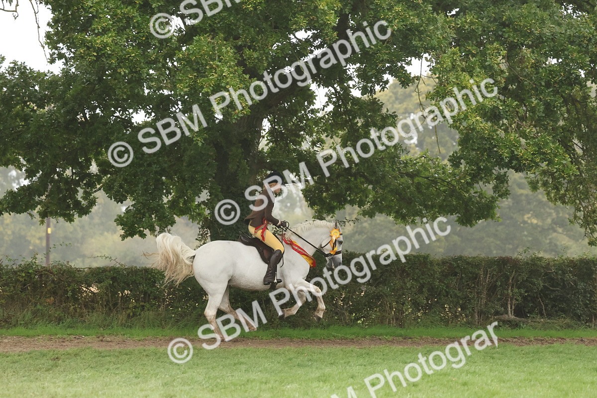 SBM_73226 - Super Supreme Championship(Sun)