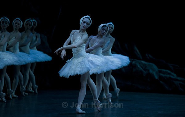  - Swan Lake