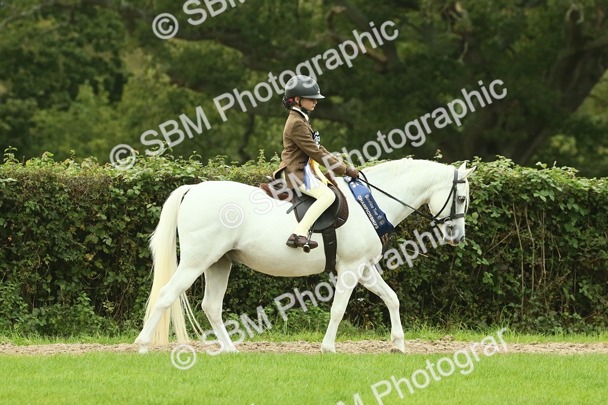 SBM_75136 - Super Supreme Championship