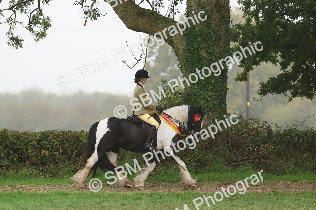 SBM_73206 - Super Supreme Championship(Sun)