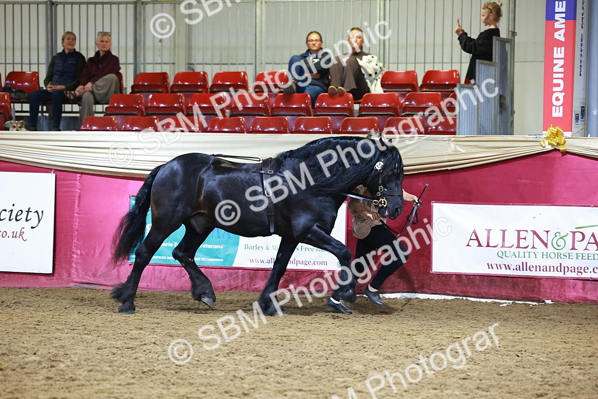 SBM_15221 - Class P - M&M Champ