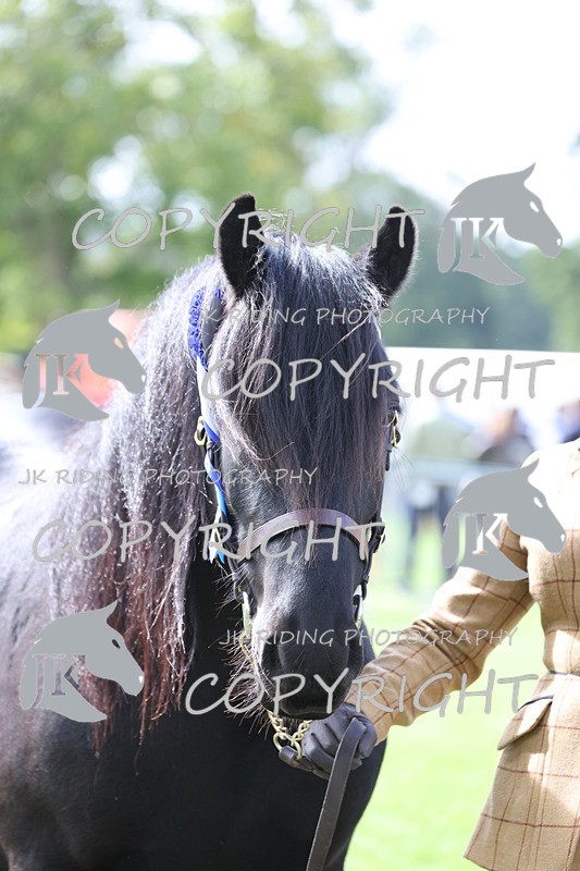 APP_2987 - Class 10a/b M&M in hand