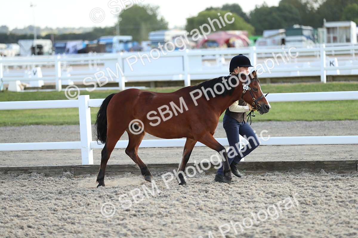 SBM_08928 - Class 29 IH Veteran Pony