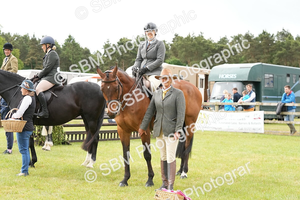 SBM_12791 - Class 97-98 - LIHS BSHA Rising Star Working Show Horse Hunter