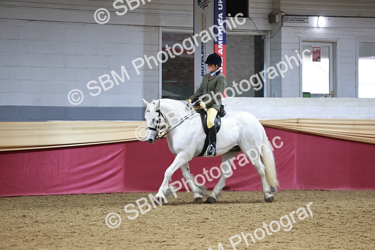 SBM_08246 - Class 11R - Regional Ridden Veteran