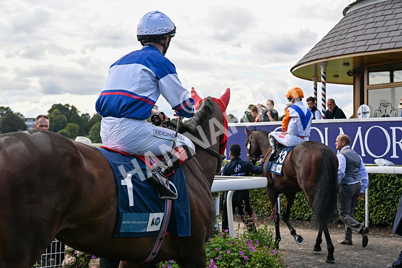 210826-Race 6-Benjamin Hornigold-1377 - Race 6 16.45pm British Stallion Studs EBF Convivial Maiden Stakes