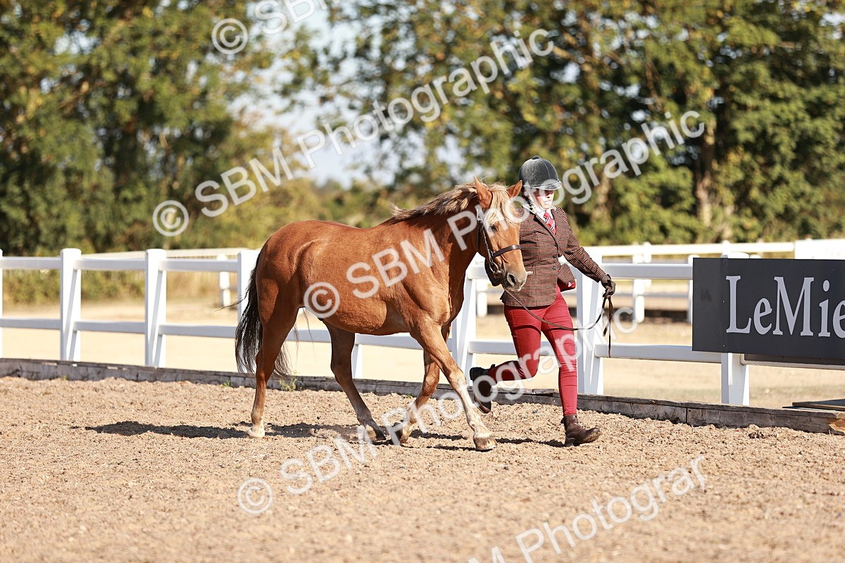 SBM_11364