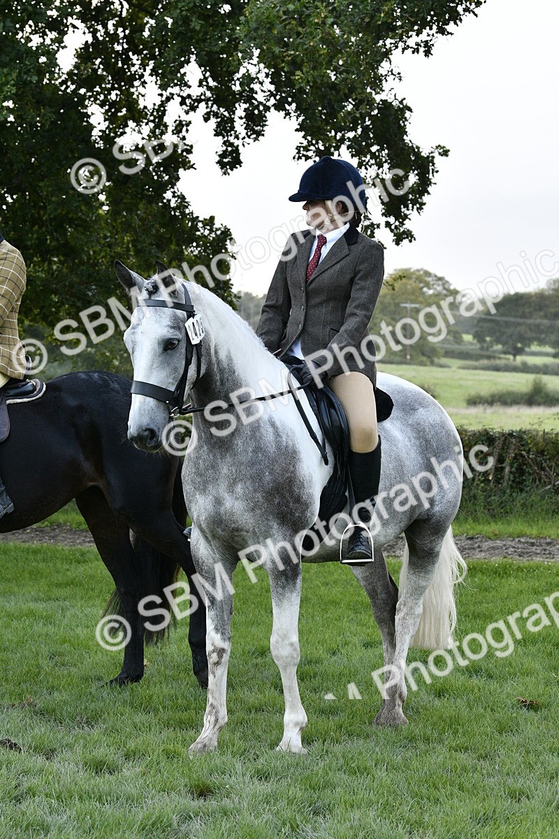 SBM_53606 - S14 - Riding Club Horse