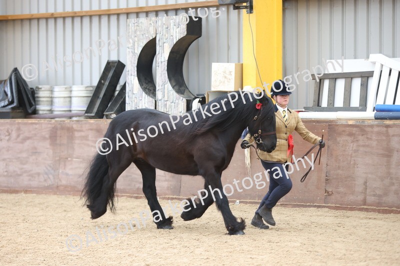 20251109-1148 - Championship