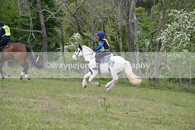 WJ6_1962 - Group 8 A&B Cameras