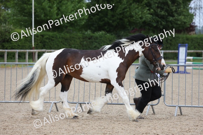 20250524-1087 - Championship