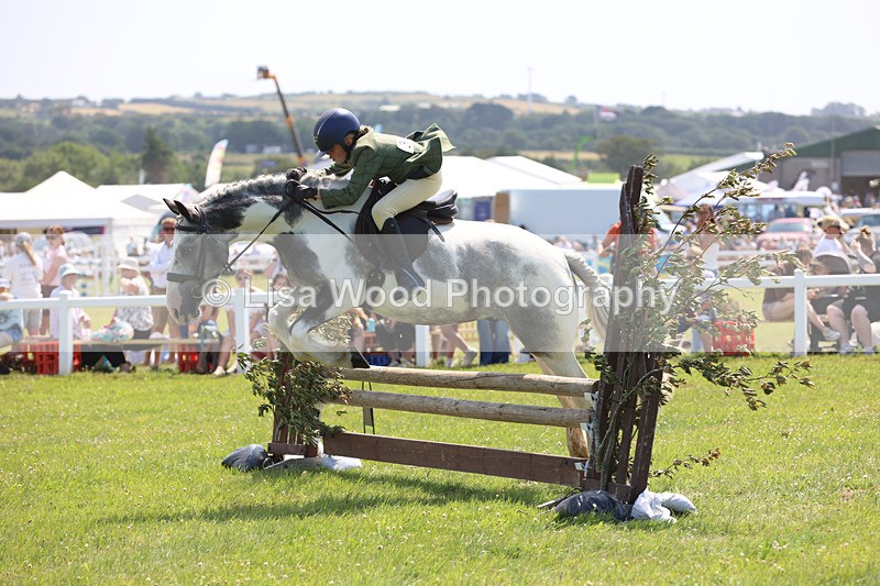 JPP_3204 - Class 22: Working Hunter 70cm
