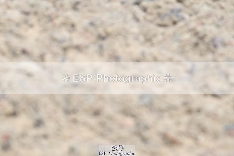 250621-123516-07949 - Cls 27 - Novice 6, 12.20 to End