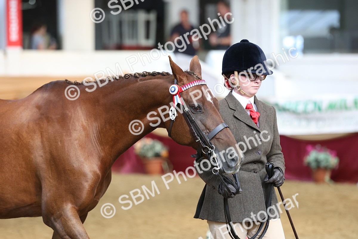 SBM_22538 - Class 902 - Supreme Final - IH Diamond