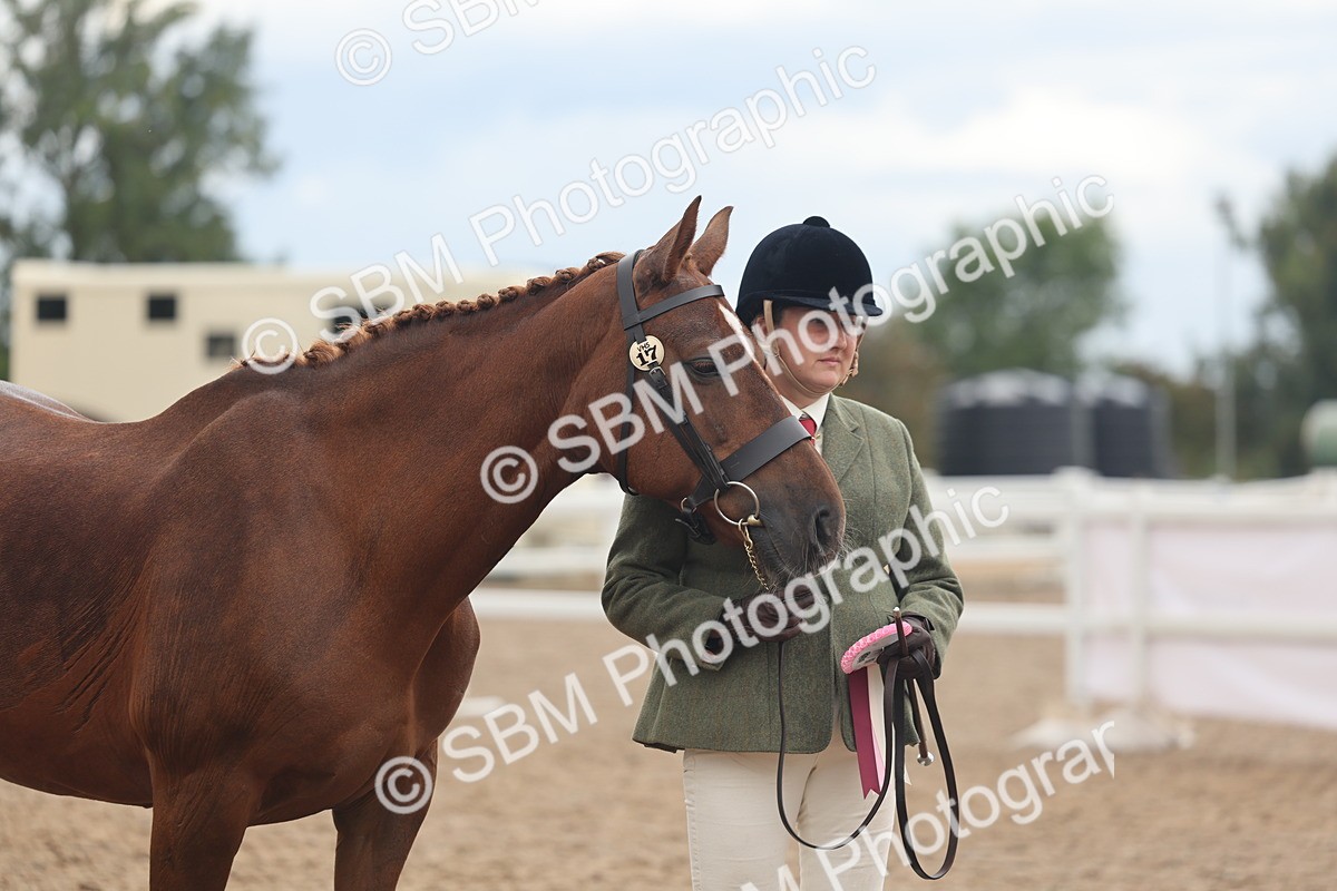 SBM_07840 - Class 27 - IH Competition Horse/Pony