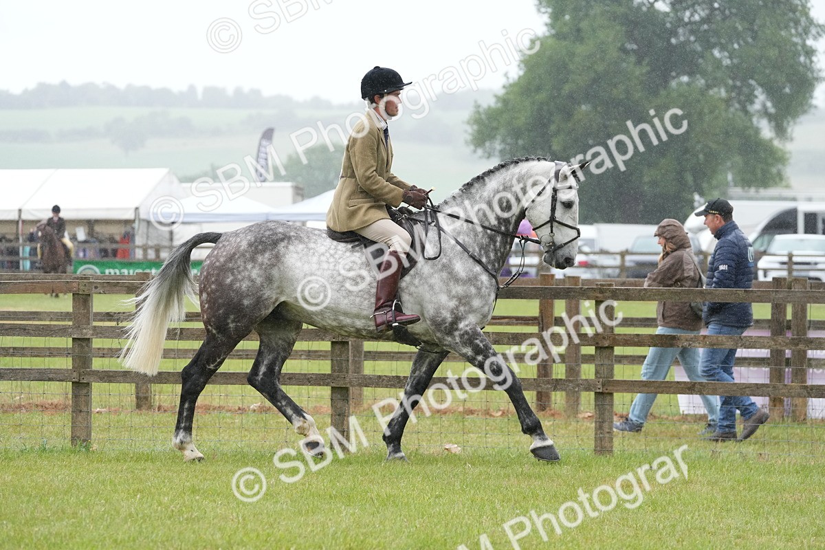 SBM_12645 - Class 97-98 - LIHS BSHA Rising Star Working Show Horse Hunter