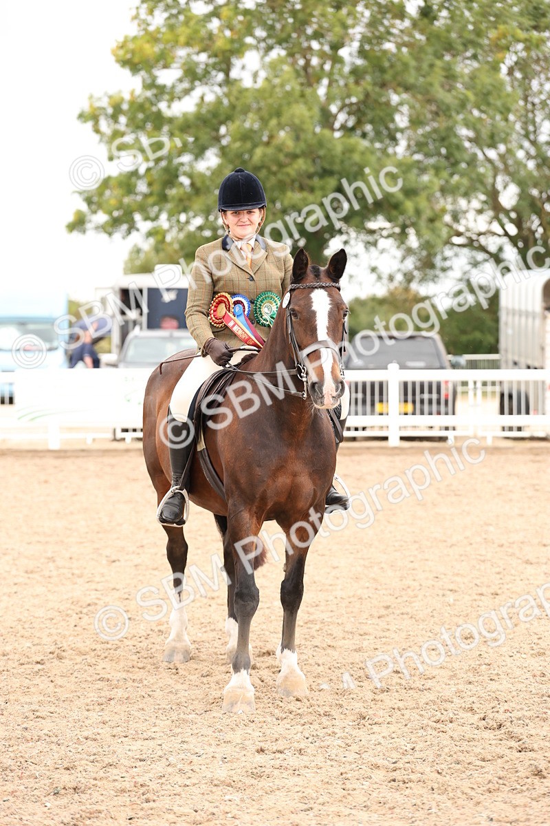 SBM_19600 - Class 215 - Ridden Show cob