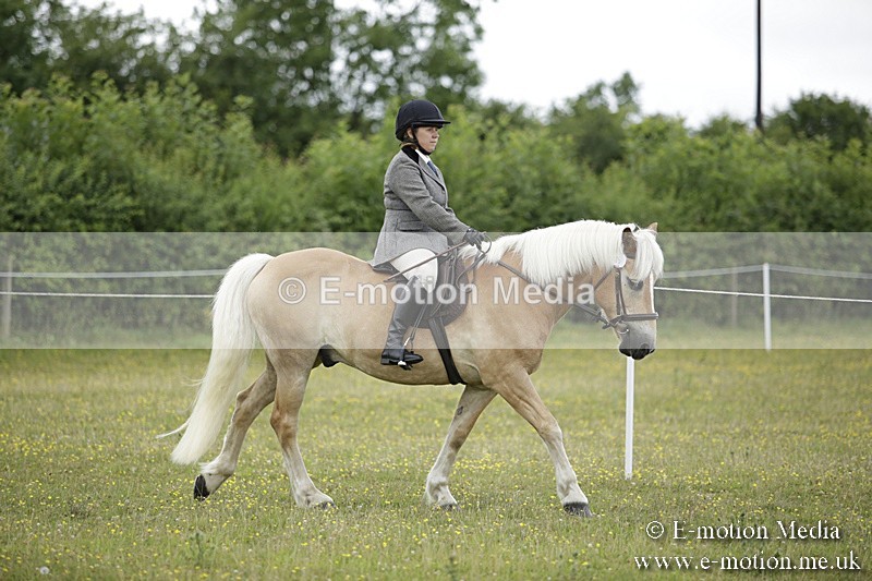 BVR160717-1499 - Ring 1 BVRC Show 16/07/17