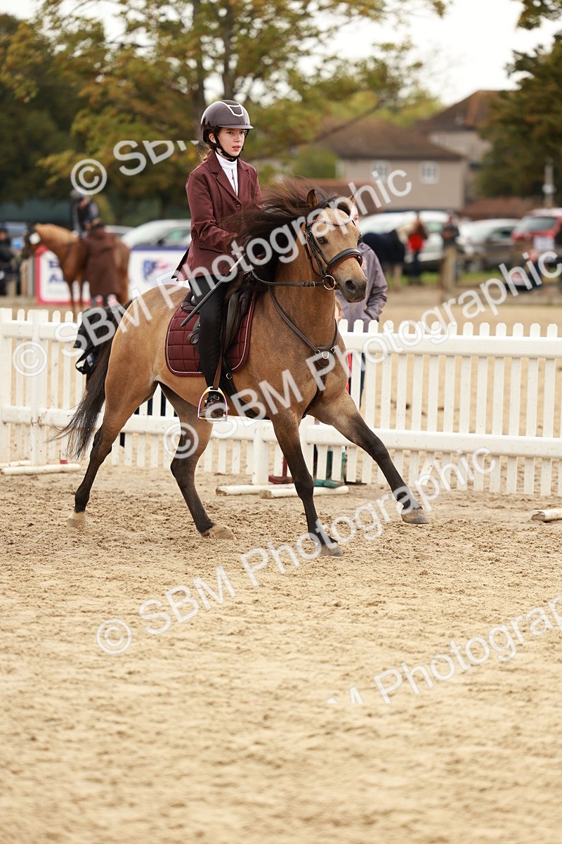 SBM_57849 - J11 - Junior Pony 50cm Championship