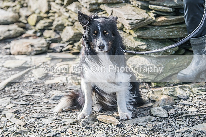 Black Combe-2415 - Black Combe Fell Race Saturday 7th March 2026