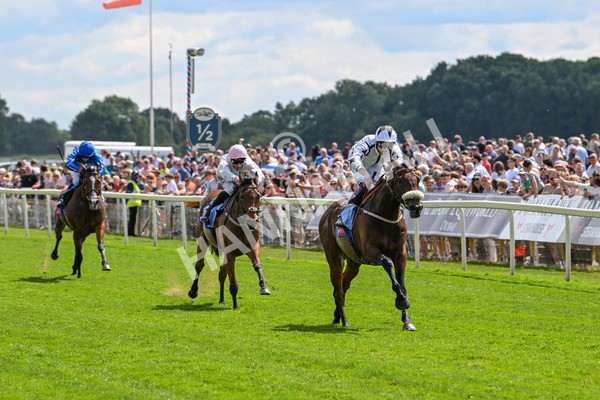 140625-Race 3-Al Qareem-2468 - Race 3 3.00pm Sky Bet Race To The Ebor Grand Cup Stakes