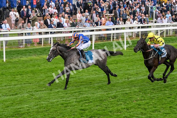 160524-Race 7-London City-6870 - Race 7 5.20pm Collective Green Energy Handicap