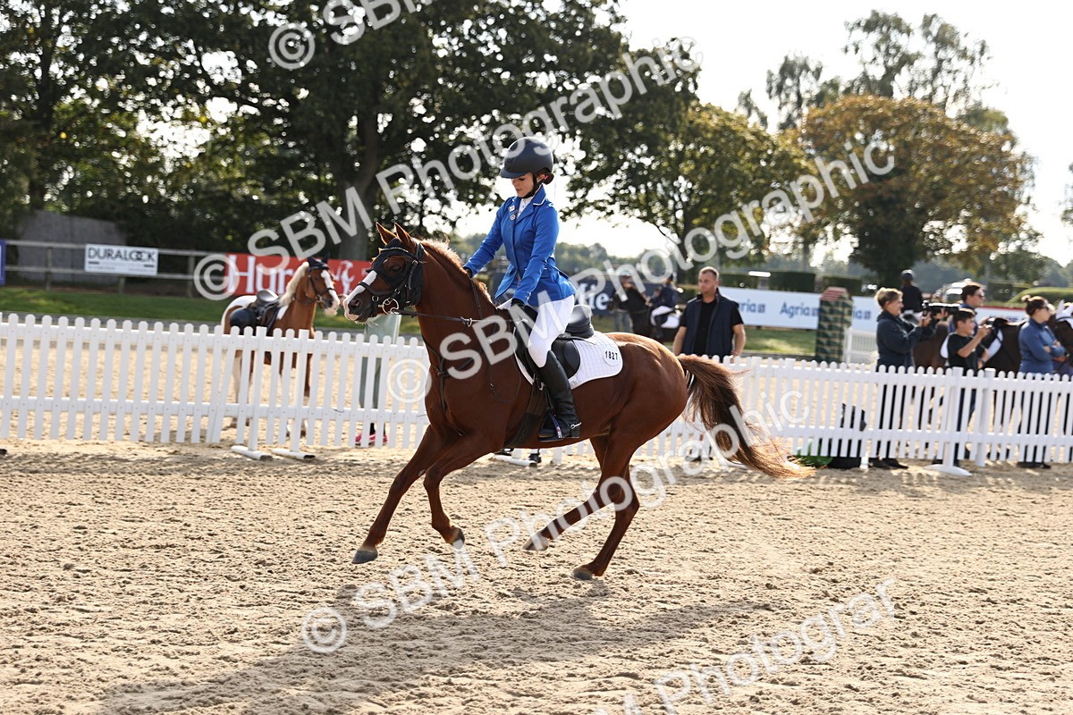 SBM_59798 - J11 - Junior Pony 50cm Championship