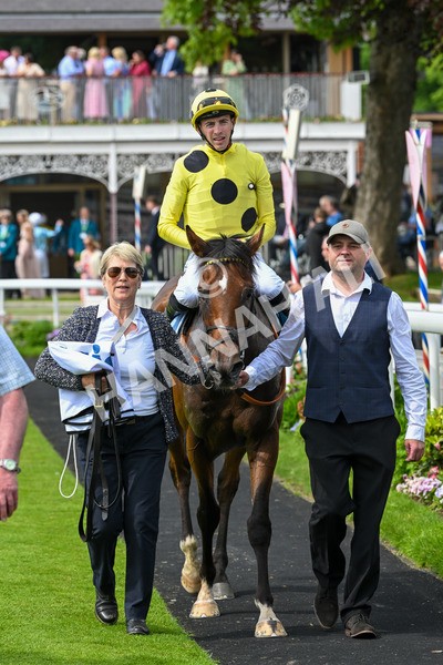 170524-Race 2-Botanical-7729 - Race 2 2.45pm Knights Solicitors Handicap