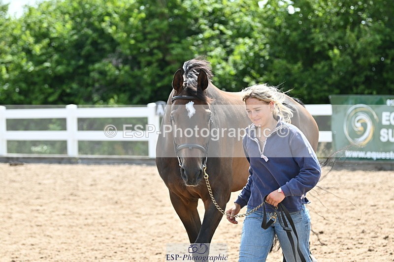 240717A-152640-02828 - Trot Up 3pm to 4pm