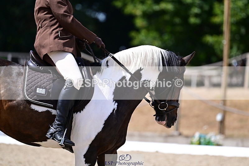 260802A-115354-06473 - Novice Bronze break - end
