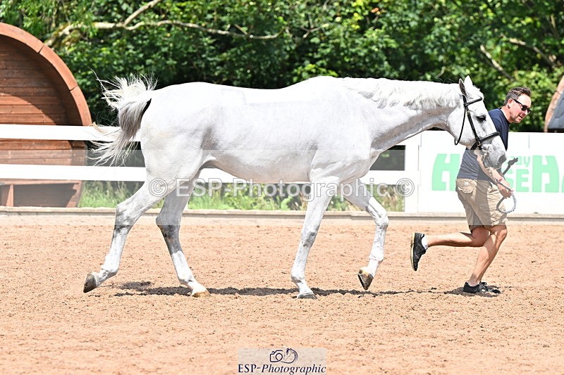 240718A-105317-01811 - Trot Up 1pm to 2pm