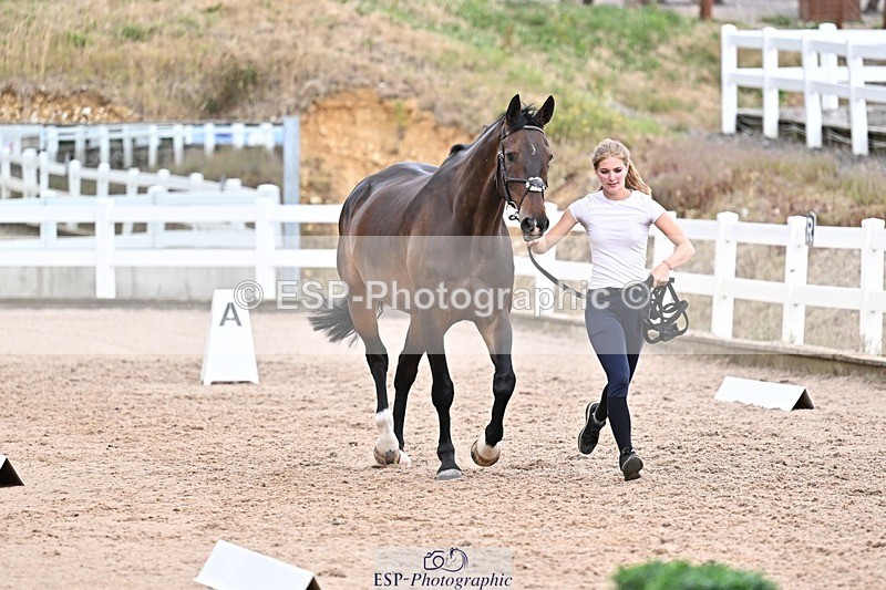250716-164117-00737 - Trot Up 4.30 to 5.00