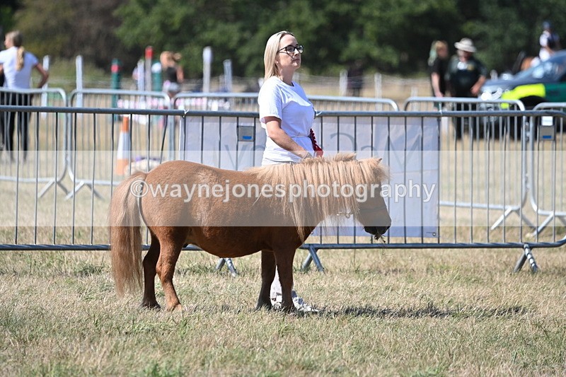 WJ6_9127 - Championship Classes 33-38