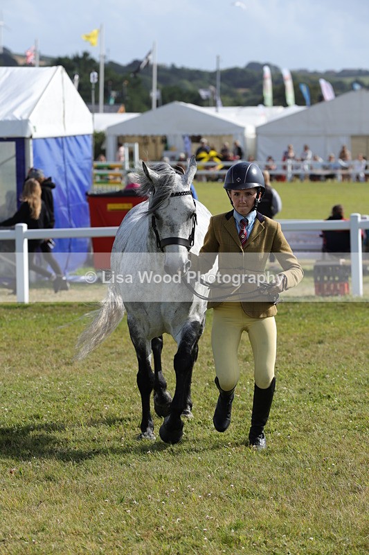 1X9A5932 - Class 41:. NPS New Forest & Connemara