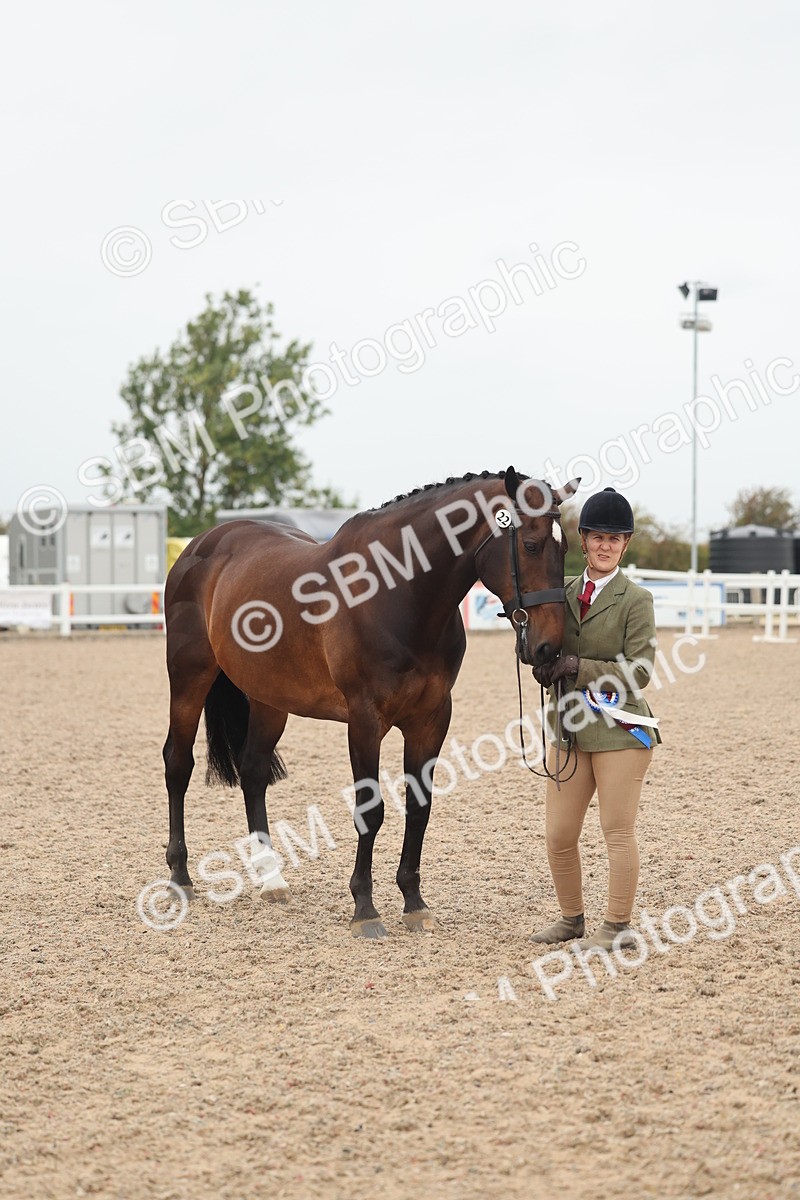 SBM_19892 - Class 318 - IH Part Bred Horse-Pony