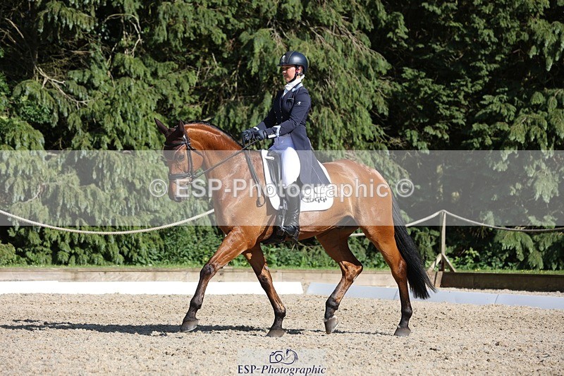 230526-171711-07941 - 177-ARGENTINO_BK-Dani_Evans-WEDTrotUp+DR