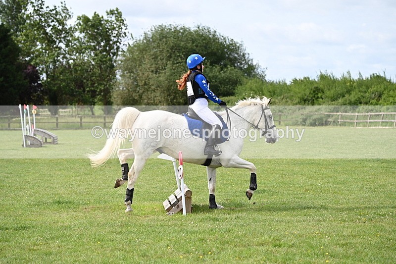 WJ6_2360 - Class 2 40cm