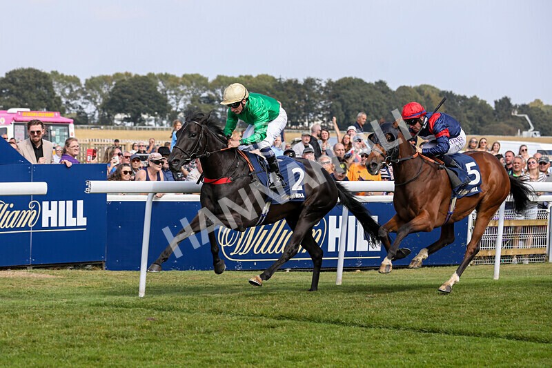 310824-Race 1-Quietness-0972 - Race 1