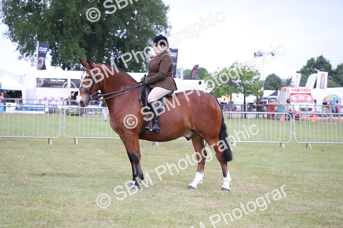 SBM_11348 - Class 92-93 - LIHS BSHA Rising Star Cobs