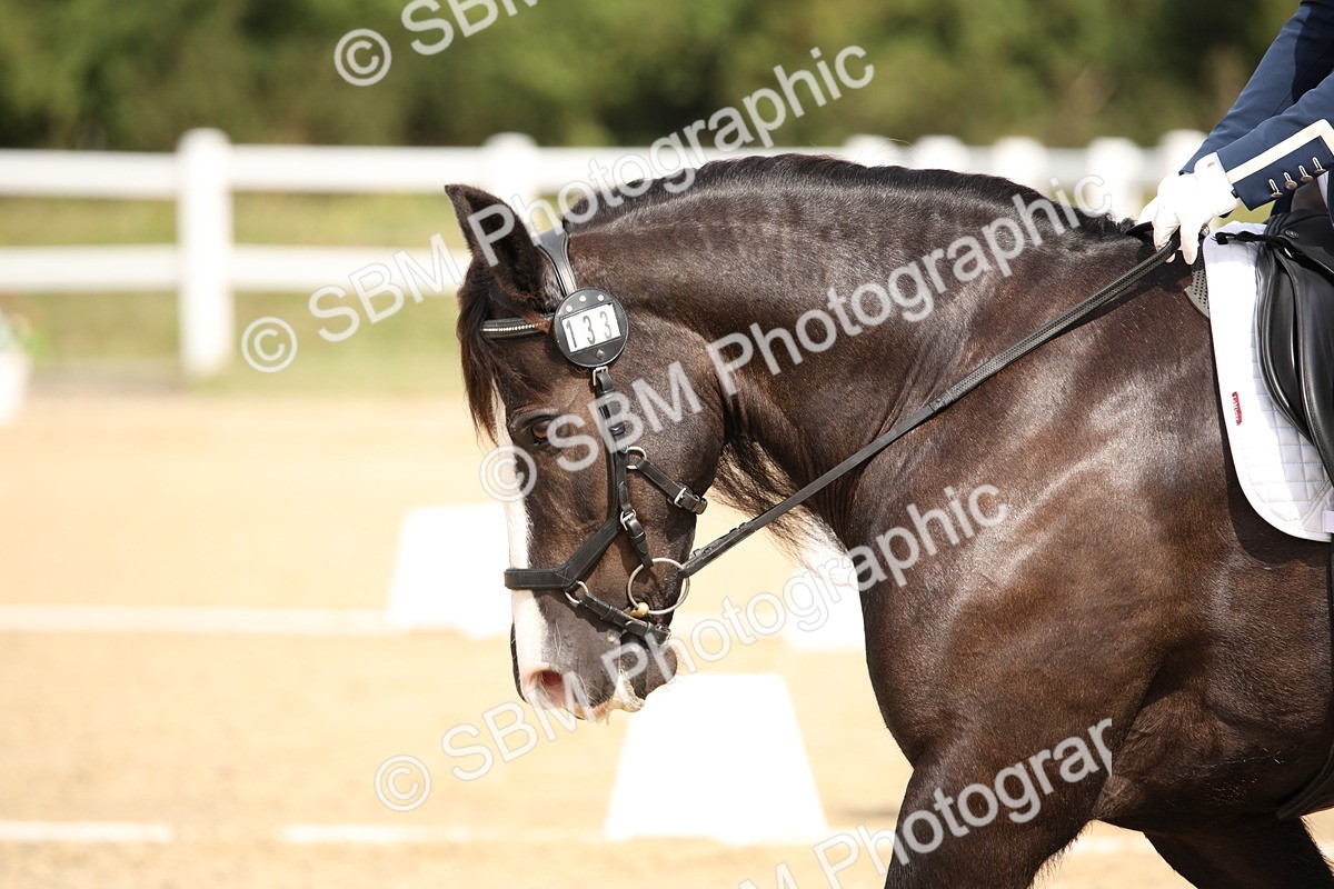 SBM_019759 - Class 22 - Medium 73 - 10.36 11.32