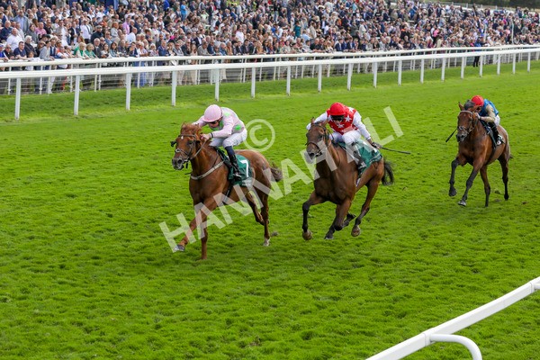 230824-Race 2-Vauban-8339 - Race 2 2.25pm Weatherbys Hamilton Lonsdale Cup Stakes