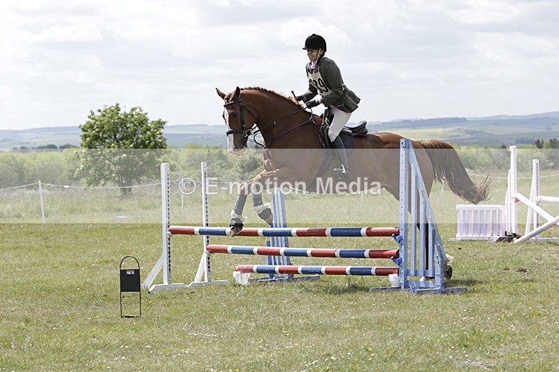 BVHT 140517 N-383 - Class 2 SJ Novice 14/05/17