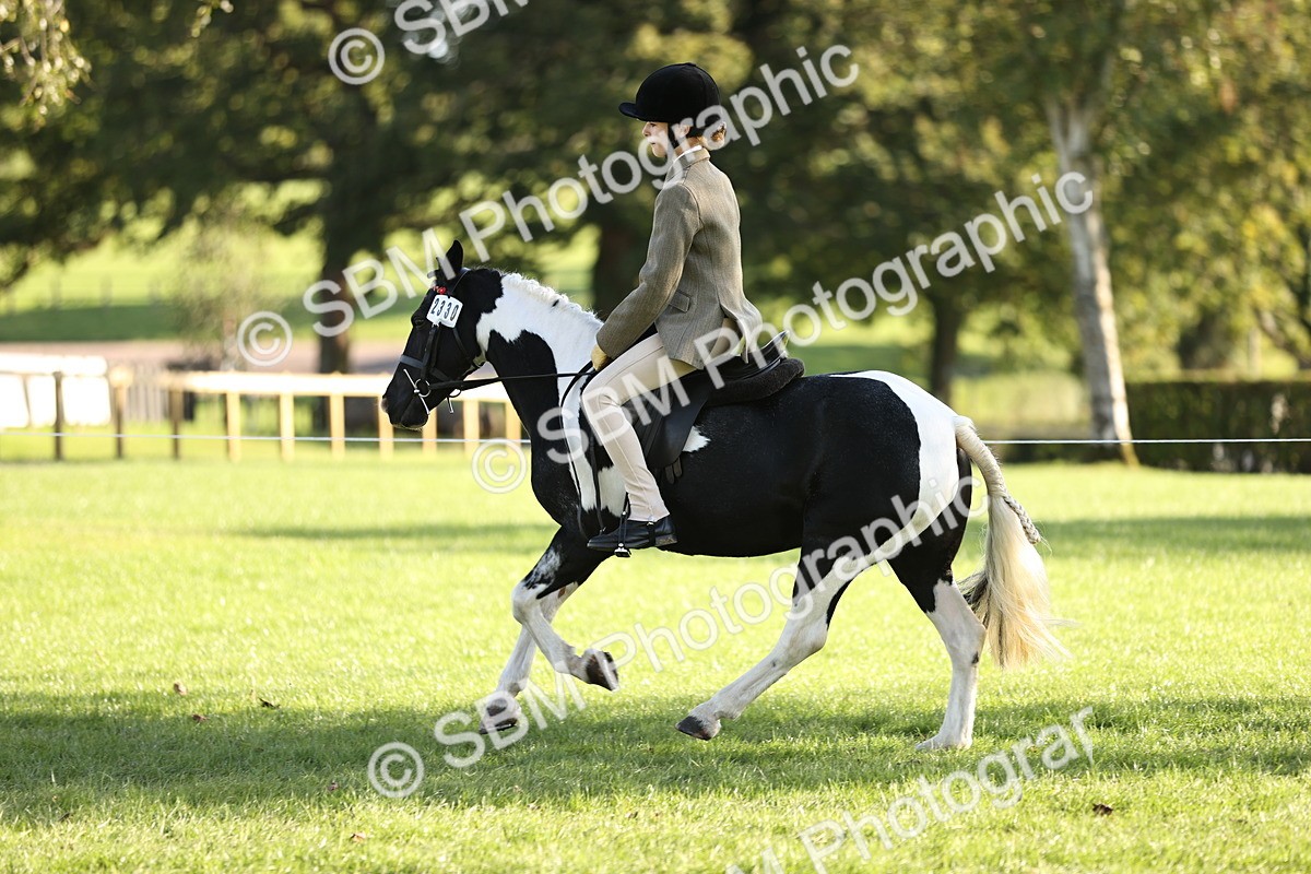 SBM_29442 - S7 - Novice & Newcomers Ridden Pony
