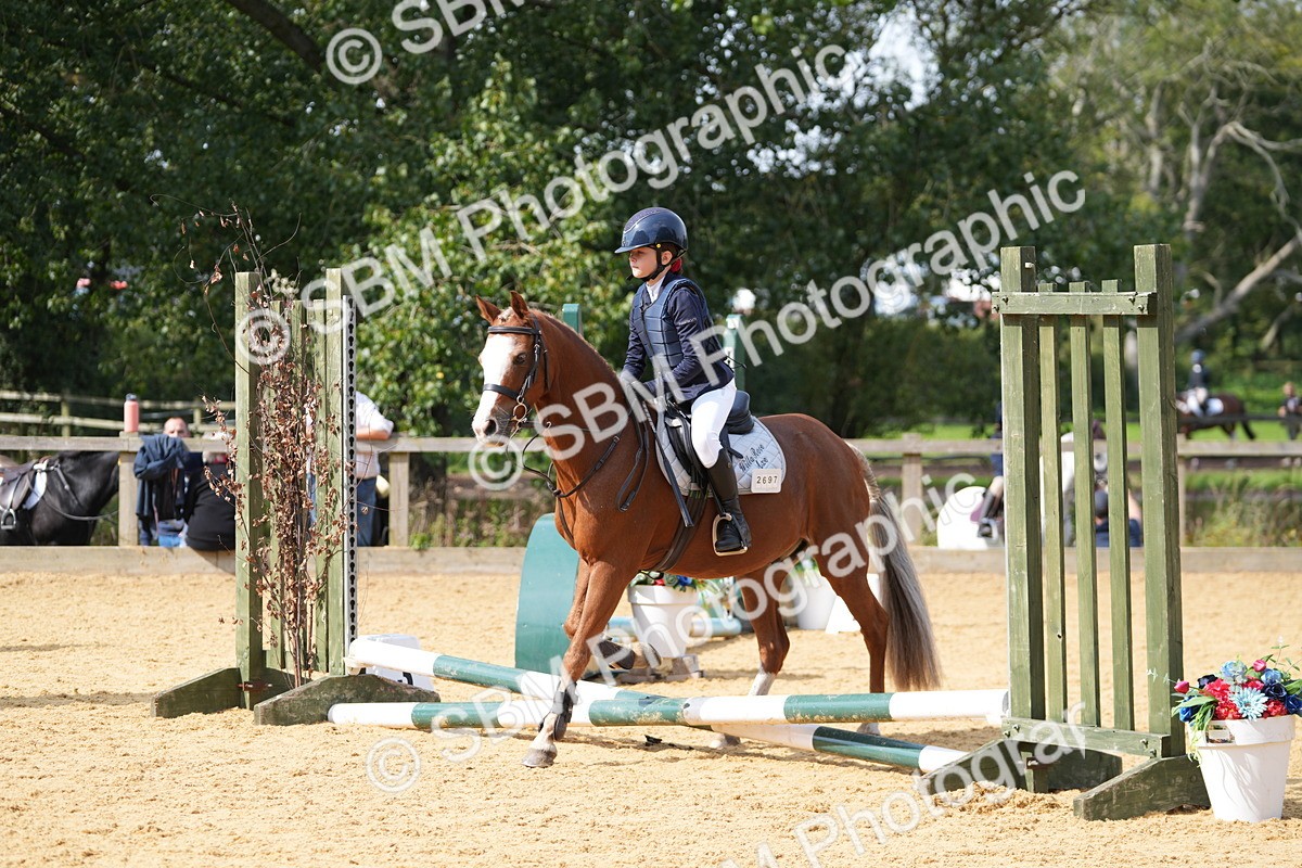 SBM_65797 - J2 - Mini Tour Junior Pony 30cm Championship