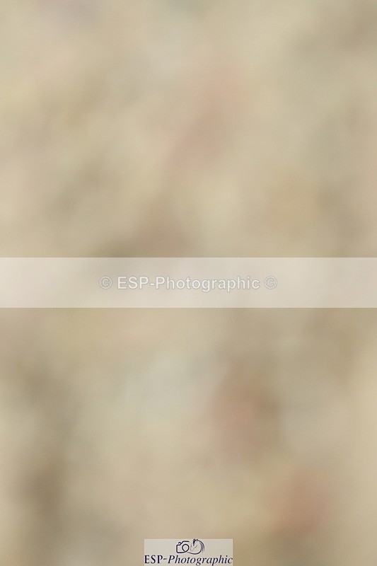 230702A-111137-08822 - Cls 30 Music Elementary